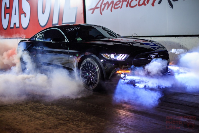 Black Mustang on Cloud3898