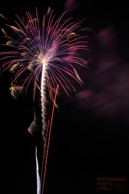 Fire Flowers